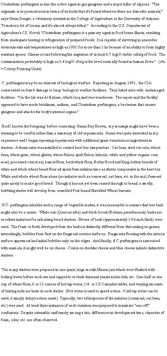 Text Box: Clostridium perfringens is also the active agent in gas gangrene and a major killer of alpacas.  "The organism is so promiscuous in terms of its hosts that it's found wherever there are domestic animals," says Glenn Songer, a veterinary scientist in the College of Agriculture at the University of Arizona.  "It makes a lot of toxins, and it's almost always lethal."  According to the U.S. Department of Agriculture's J.S. Novak "Clostridium perfringens is a primary agent in food borne illness, resulting from inadequate heating or refrigeration of prepared foods.  It is capable of surviving in anaerobic environments and temperatures as high as 100C for more than 1 hr because of an ability to form highly resistant spores.  Illness occurs following the ingestion of at least 6-7 log10 viable cells/g of food.  The contamination probability is high as 3-4 log10 cfu/g is the level normally found in human feces."   (cfu = Colony Forming Units) C. perfringens may be an element of biological warfare.  Reporting in August, 1991,  the CIA commented on bomb damage to Iraqi  biological warfare facilities.  They listed sites with  undamaged facilities.  "On the list was Al Hakam, which Iraq said was warehouse.  The report said the facility appeared to have made botulinum, anthrax, and Clostridium perfringens, a bacterium that causes gangrene and attacks the body's internal organs." Had I known the foregoing  before contacting  Susan Ray Brown,  my message might have been a warning to be careful rather than a summary of old experiments.  Susan was quite interested in my experience and I began repeating experiments with additional grain variations as ingredients in starters.  A thermostat was installed to control heat box temperature.  Oat bran, steel cut oats, wheat bran, wheat germ, wheat gluten, wheat flakes, spelt flakes, triticale, white and yellow organic corn meal, processed corn meal, kamut flour, buckwheat flour, Robin Hood and King Arthur brands of white and whole wheat bread flour all spent fermentation time as starter components in the heat box.  White and whole wheat flour alone (no initiator such as corn meal, oat bran, etc. in the mix) ferment quite nicely to make good bread.  Though it has not yet been carried through to bread, a smelly, bubbling starter will develop from crumbled Post brand Shredded Wheat biscuits. If C. perfringens inhabits such a range of vegetable matter, it was reasonable to assume that tree bark might also be a carrier.  White oak (Quercus alba) and black locust (Robinia pseudoacacia) barks are excellent initiators for salt-rising bread starters.  Slivers of bark (approximately 1/16-inch thick) were used.  The foam or froth developed from the barks is distinctly different from that arising on grains; interestingly, bubbles form first on the fragment exterior surfaces.  Fragments floating with the interior surface uppermost had initial bubbles only on the edges.  And finally, if C.perfringens is associated with animals, it might well be on cheese.  Common cheddar cheese and blue cheese initiate distinctive starters. The many starters were prepared in one-quart, large-mouth Mason jars which were flushed with boiling water before each use and capped to exclude itinerant yeasts and molds, etc.  One-half or one cup of wheat flour, 8 or 12 ounces of hot tap-water, 1/4  or 1/2 Campden tablet, and varying amounts of baking soda are basic in each starter.  (Hot water is used to speed action.  Cold tap water can be used; it simply delays action onset.)  Typically, two tablespoons of the initiator (cornmeal, oat bran, etc.) was used.  At least three instances of each variation was prepared to minimize "one-off" confusions.  Despite ostensible uniformity among a trio, differences in development time, character of foam, odor, etc. are often observed.